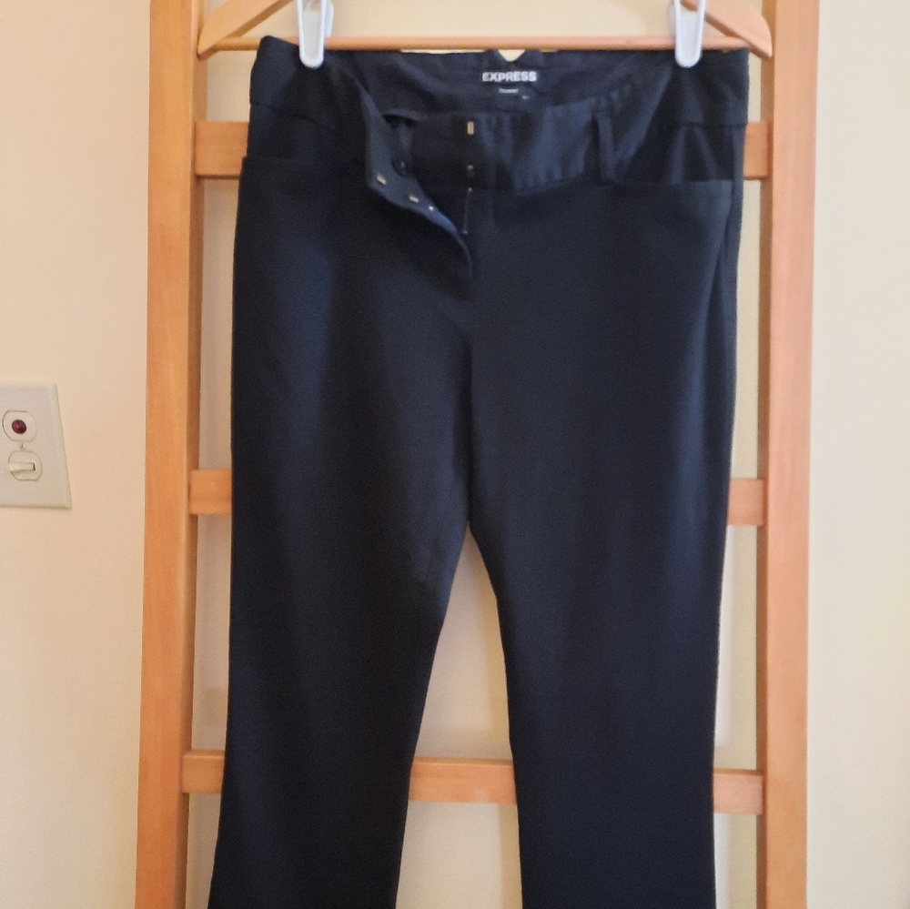 Express Dress Pants